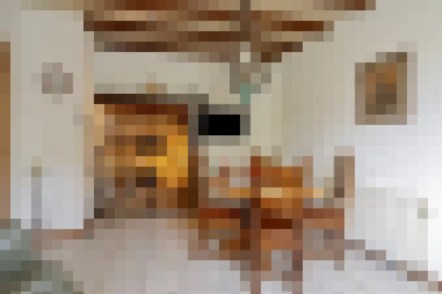 Veenhof 1016 Wijchen thumbnail 14