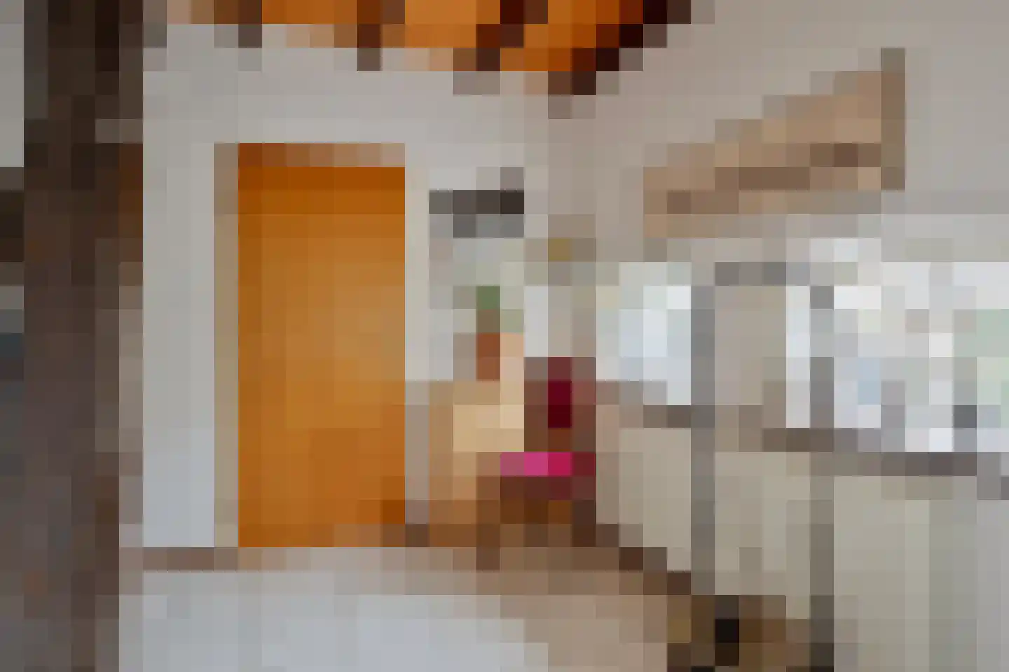 Veenhof 1016 Wijchen thumbnail 23