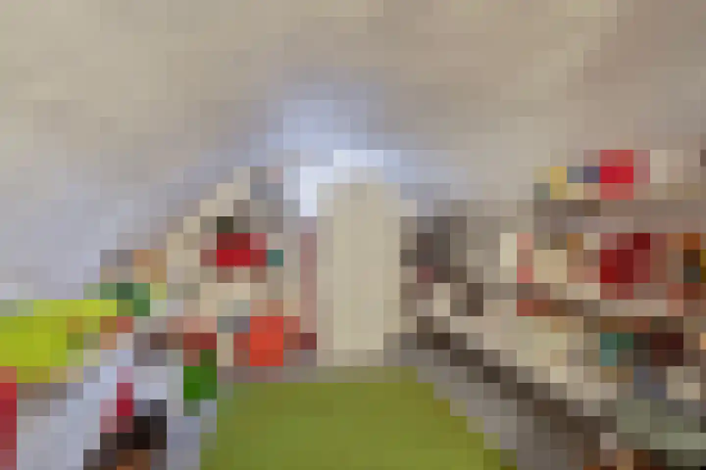 Veenhof 1016 Wijchen thumbnail 27