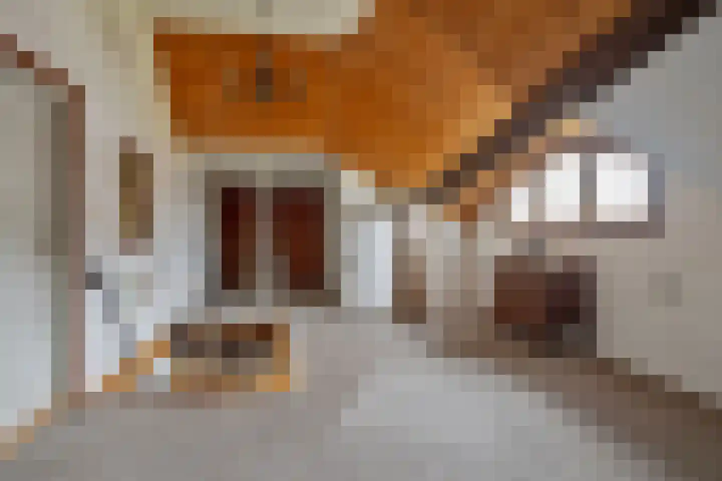 Veenhof 1016 Wijchen thumbnail 29