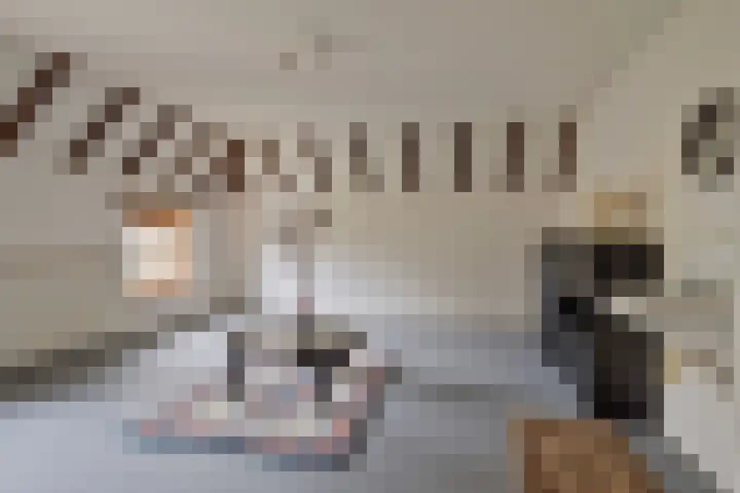 Veenhof 1016 Wijchen thumbnail 31