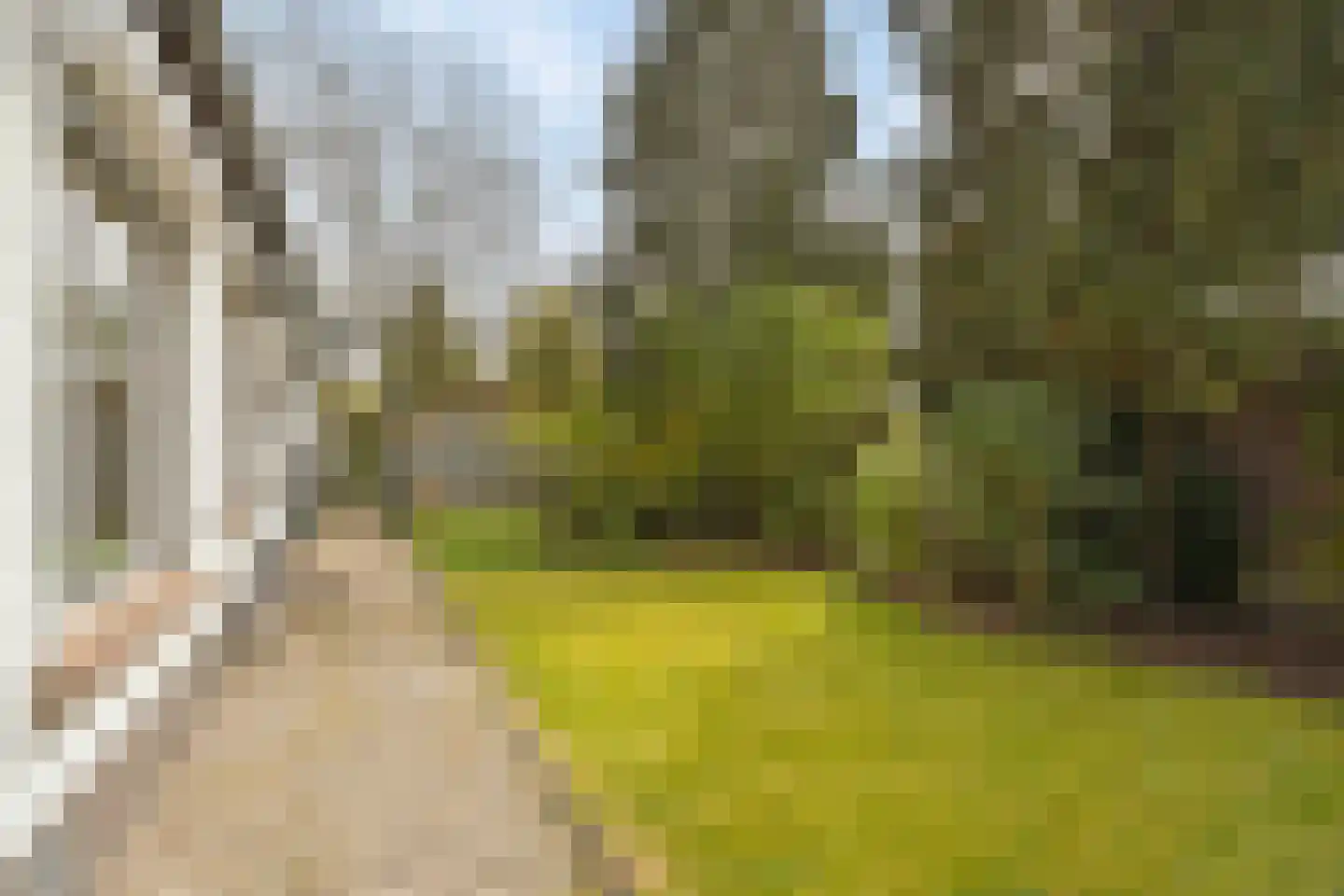 Veenhof 1016 Wijchen thumbnail 37