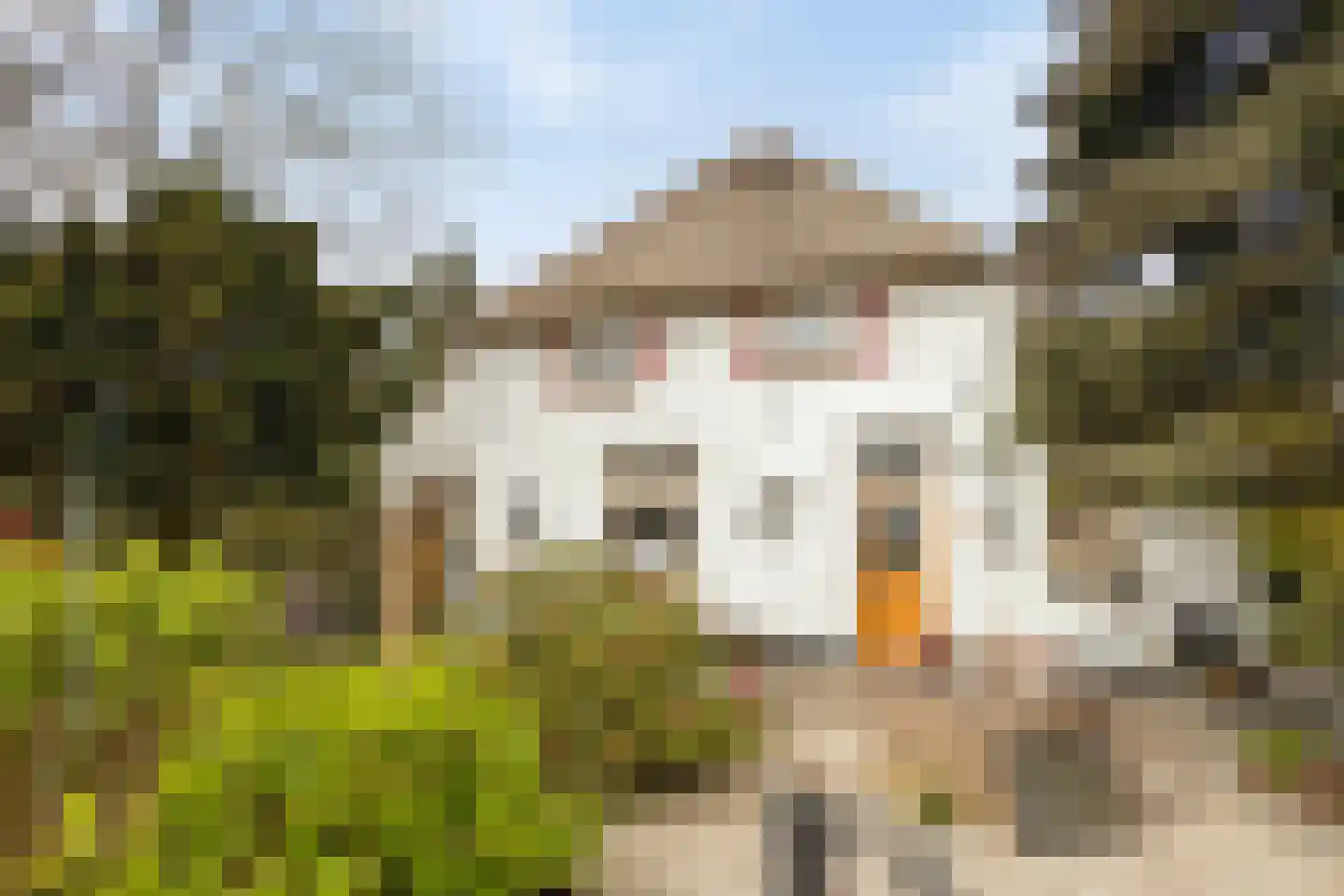Veenhof 1016 Wijchen thumbnail 4