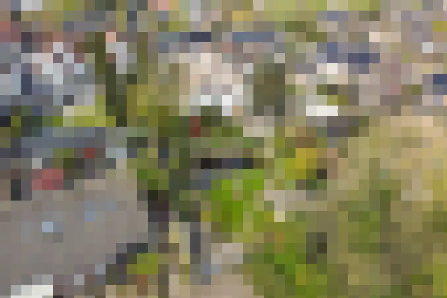 Veenhof 1016 Wijchen thumbnail 59