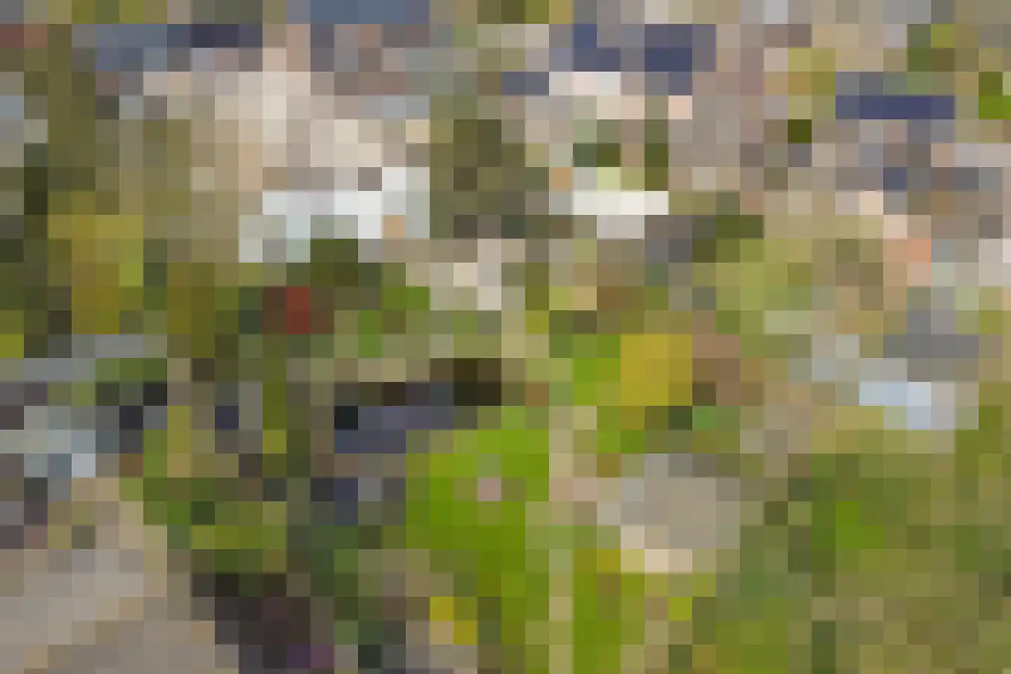Veenhof 1016 Wijchen thumbnail 60