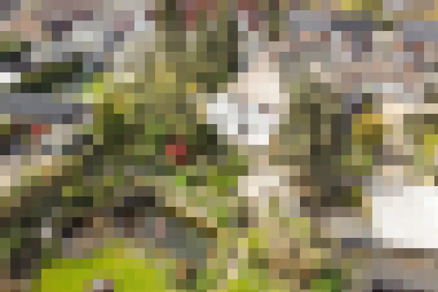 Veenhof 1016 Wijchen thumbnail 61