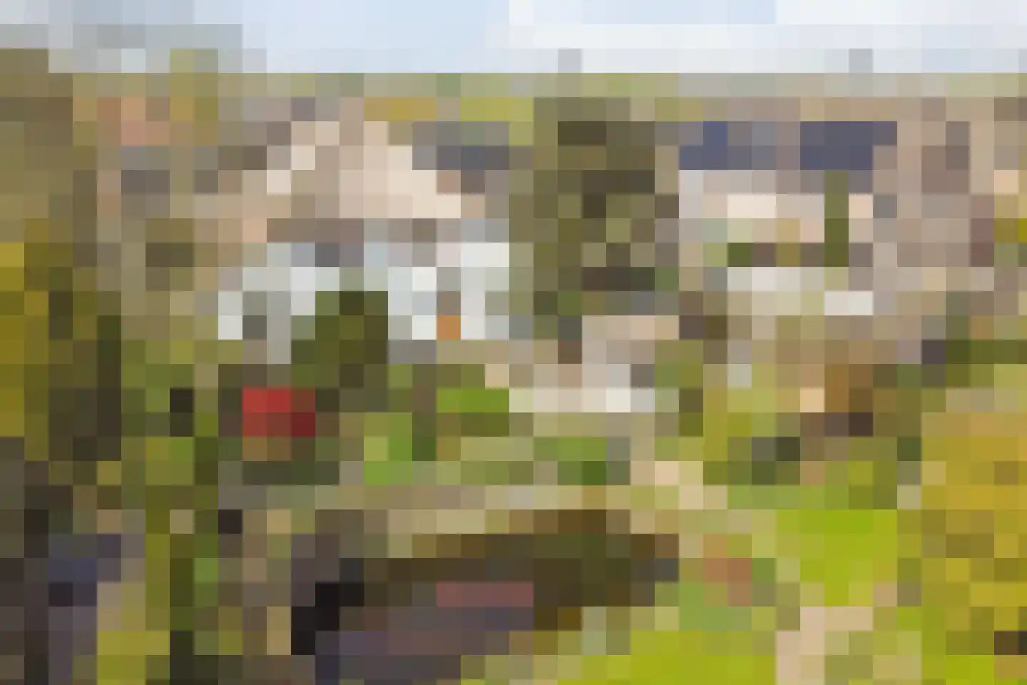 Veenhof 1016 Wijchen thumbnail 62