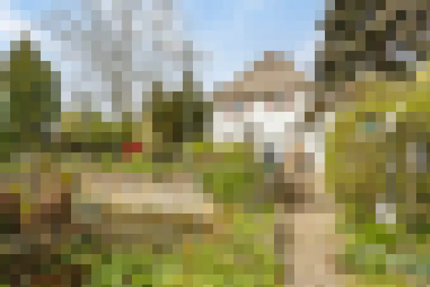 Veenhof 1016 Wijchen thumbnail 64