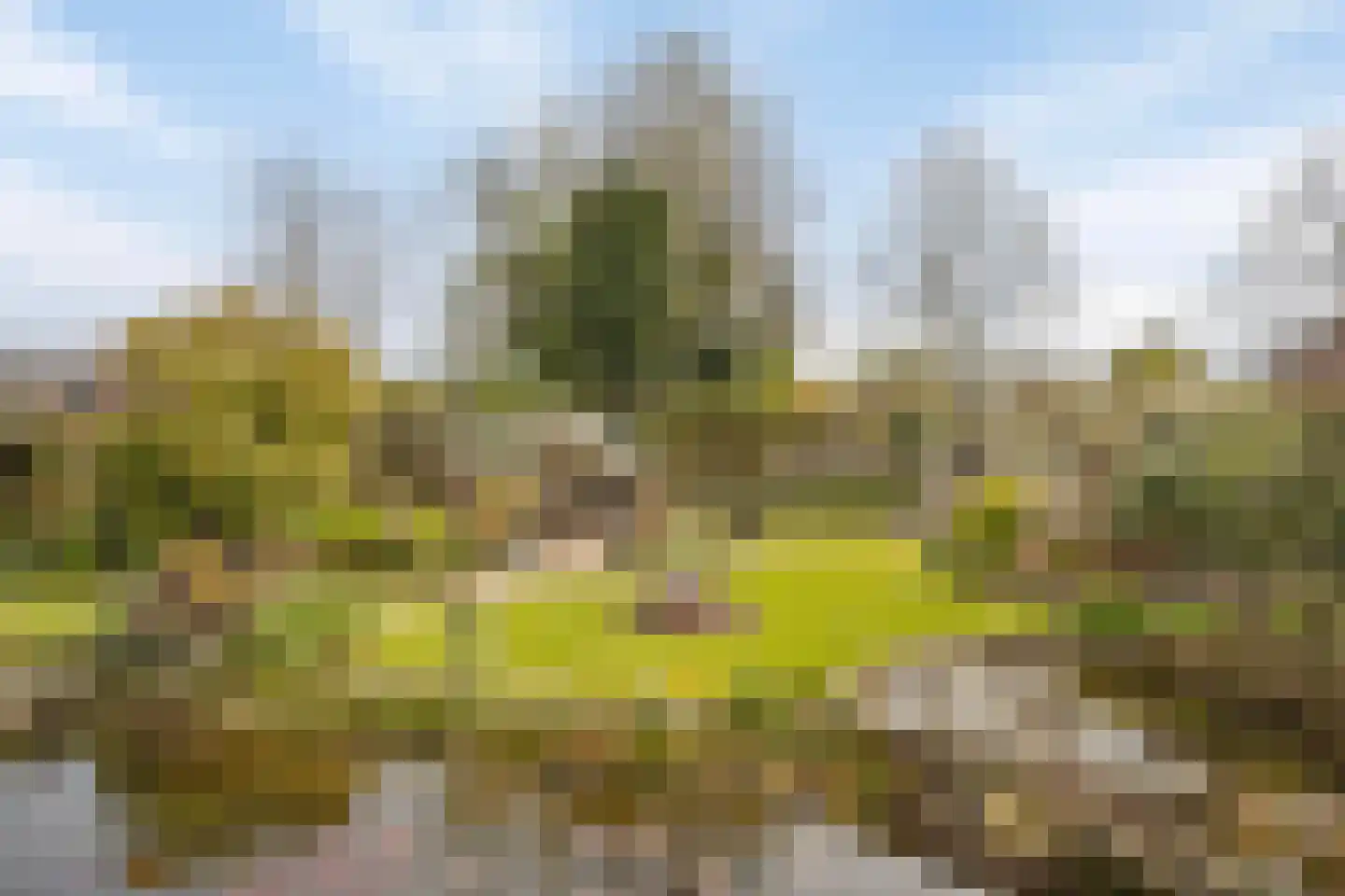 Veenhof 1016 Wijchen thumbnail 65