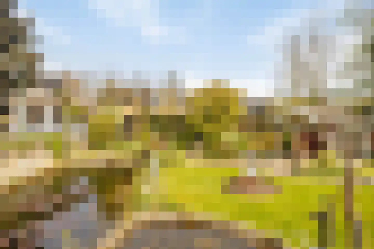 Veenhof 1016 Wijchen thumbnail 66