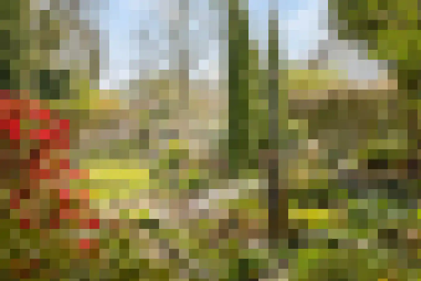 Veenhof 1016 Wijchen thumbnail 67