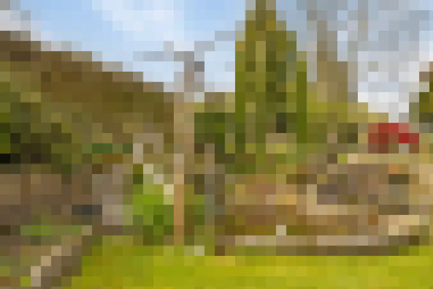Veenhof 1016 Wijchen thumbnail 68