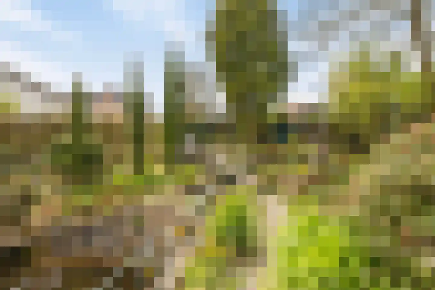 Veenhof 1016 Wijchen thumbnail 69