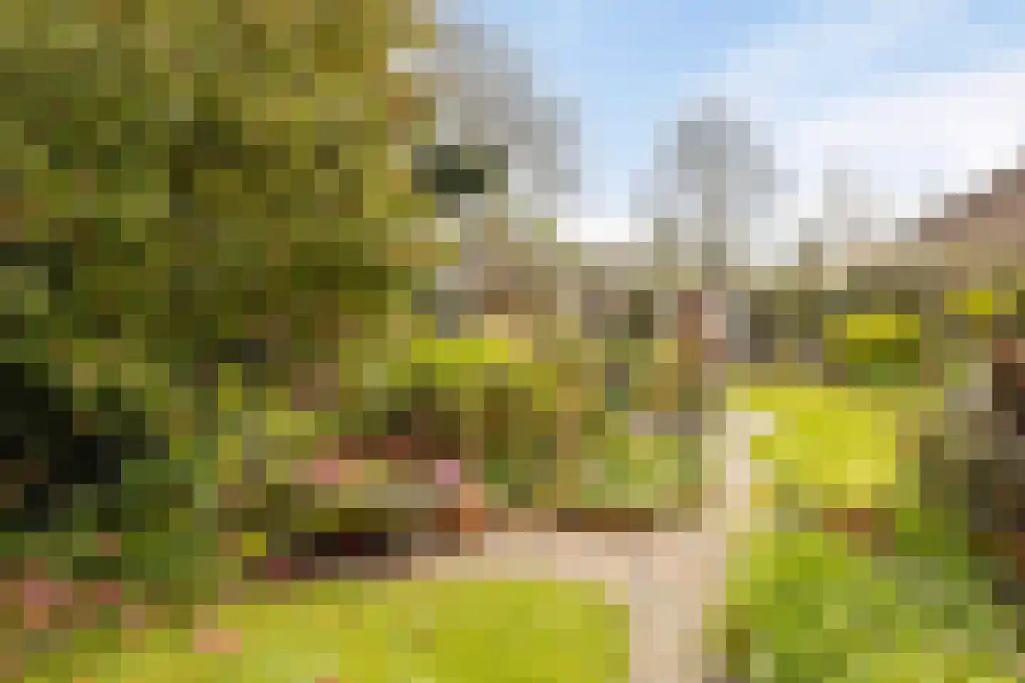 Veenhof 1016 Wijchen thumbnail 70