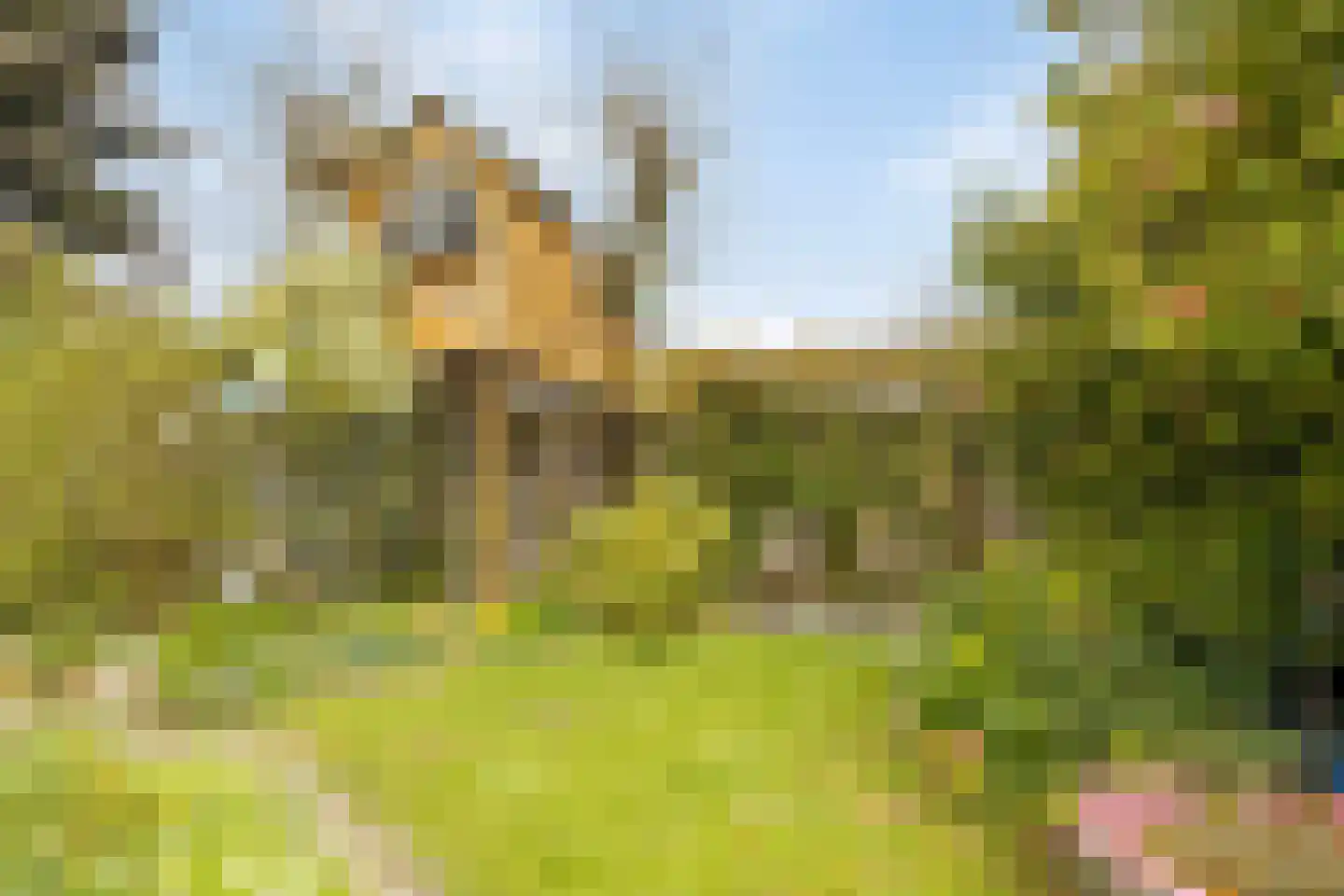 Veenhof 1016 Wijchen thumbnail 71