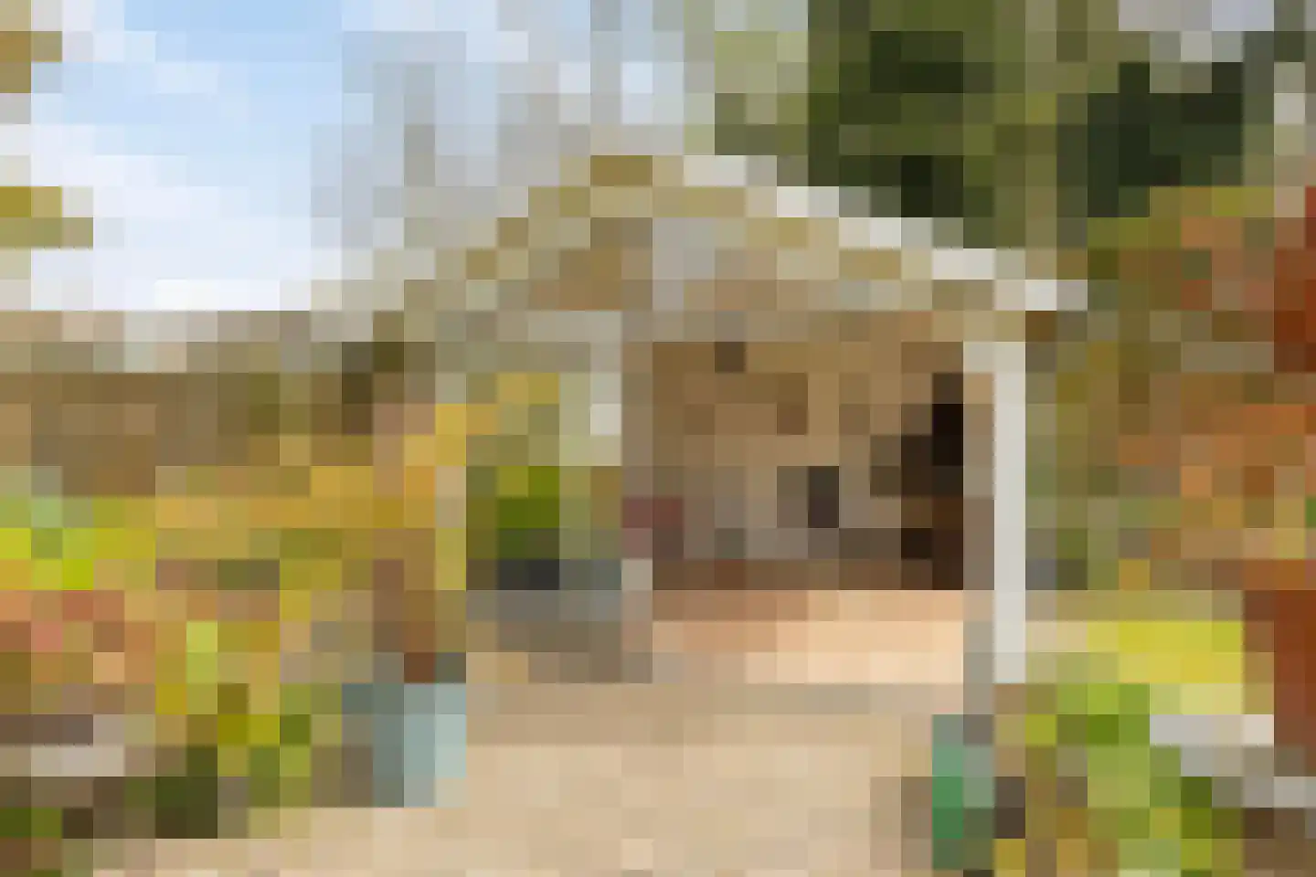 Veenhof 1016 Wijchen thumbnail 72