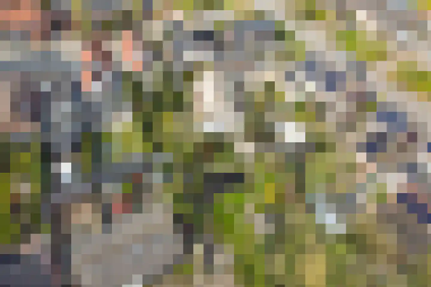 Veenhof 1016 Wijchen thumbnail 73