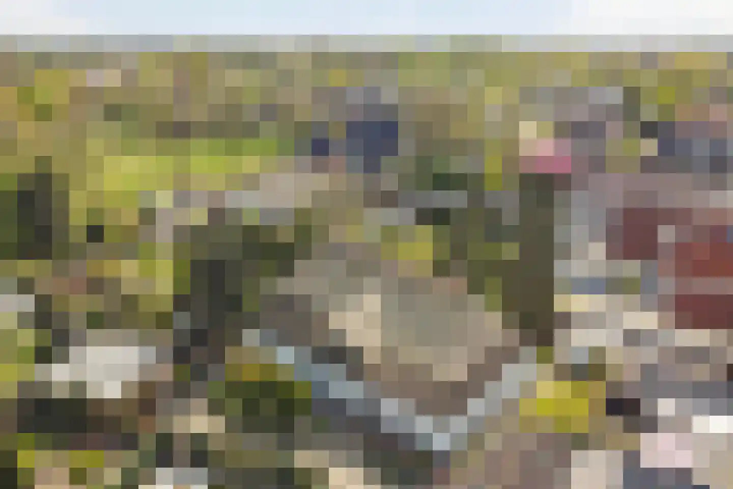 Veenhof 1016 Wijchen thumbnail 74