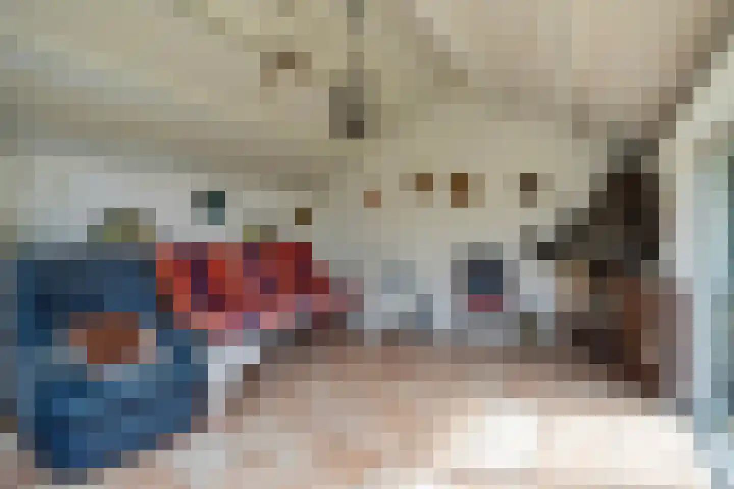 Veenhof 1016 Wijchen thumbnail 75