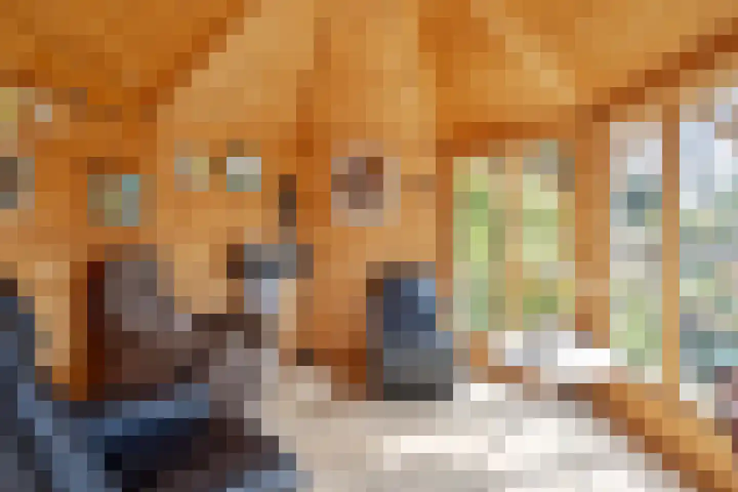 Veenhof 1016 Wijchen thumbnail 78