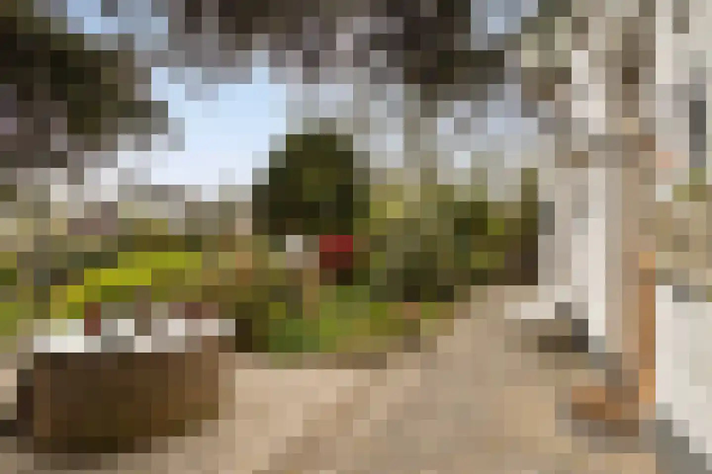 Veenhof 1016 Wijchen thumbnail 79