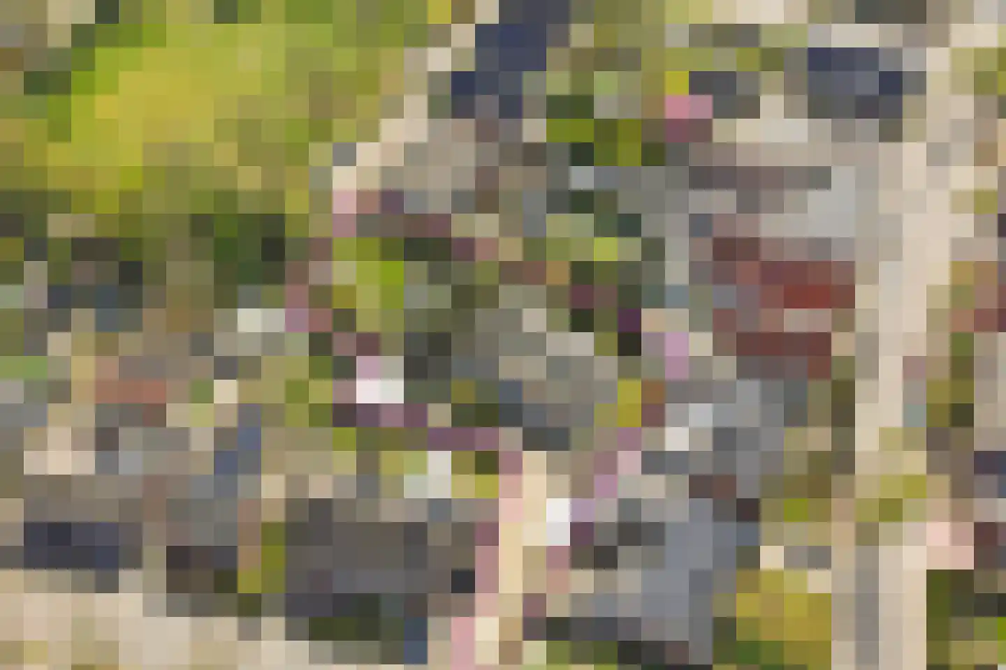 Veenhof 1016 Wijchen thumbnail 81