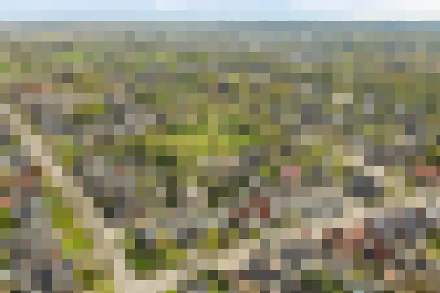 Veenhof 1016 Wijchen thumbnail 82