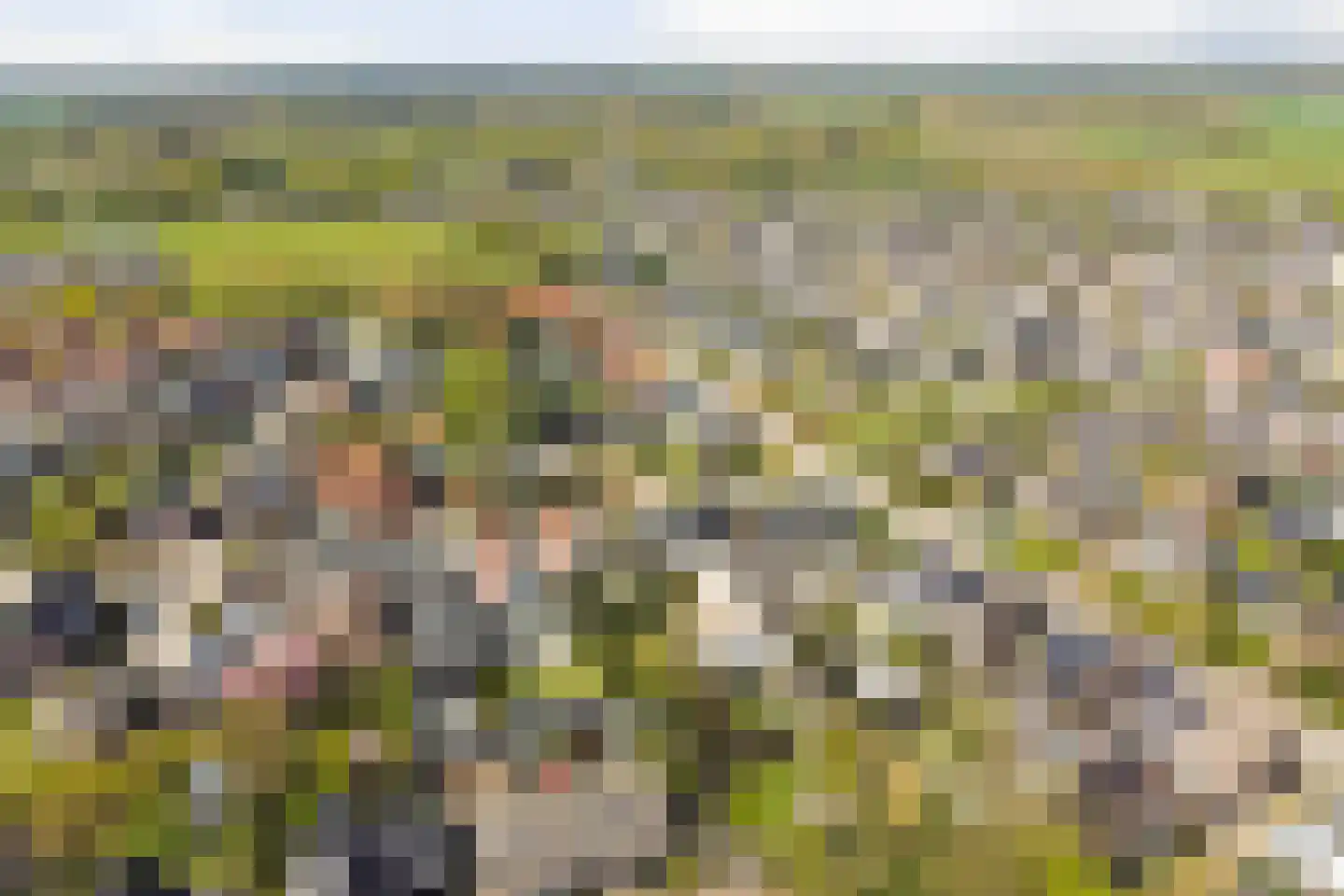 Veenhof 1016 Wijchen thumbnail 83
