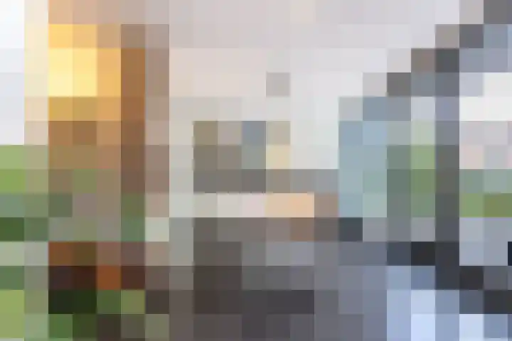 Veenhof 11 Groningen thumbnail 11