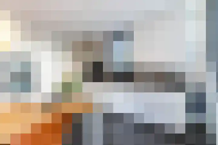 Veenhof 11 Groningen thumbnail 12