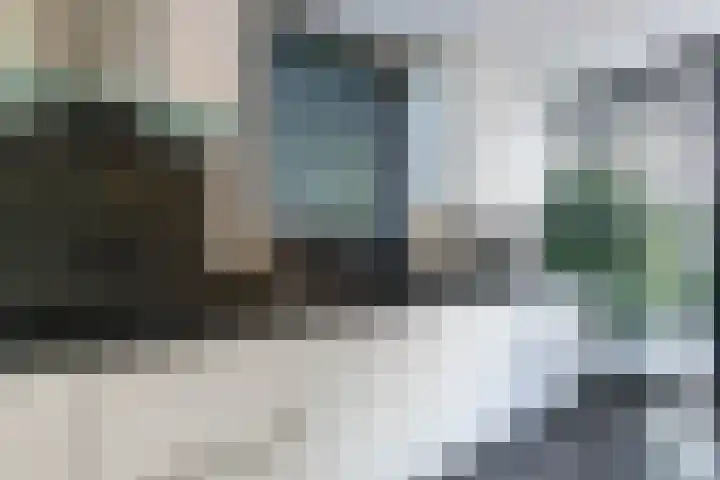 Veenhof 11 Groningen thumbnail 13