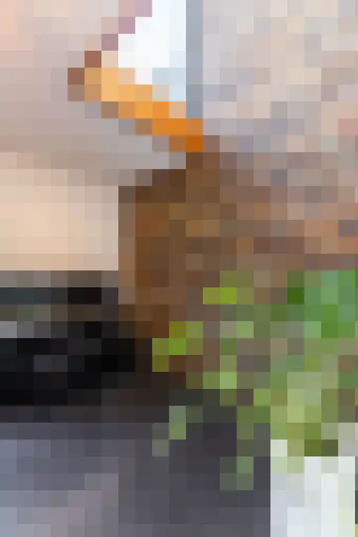 Veenhof 11 Groningen thumbnail 17