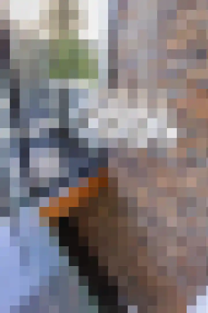 Veenhof 11 Groningen thumbnail 23