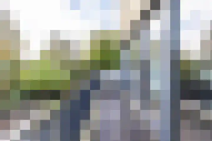 Veenhof 11 Groningen thumbnail 25