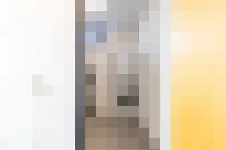 Veenhof 11 Groningen thumbnail 27