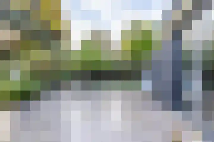 Veenhof 11 Groningen thumbnail 36
