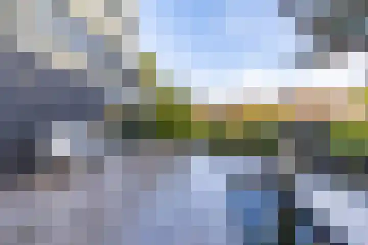 Veenhof 11 Groningen thumbnail 37