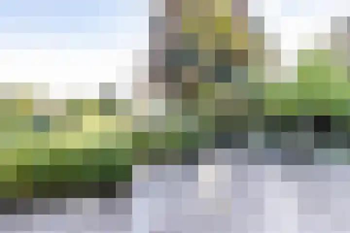 Veenhof 11 Groningen thumbnail 38