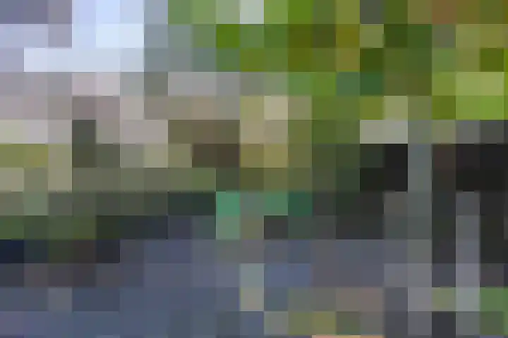Veenhof 11 Groningen thumbnail 39
