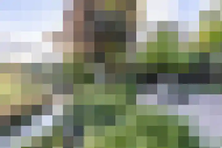 Veenhof 11 Groningen thumbnail 40
