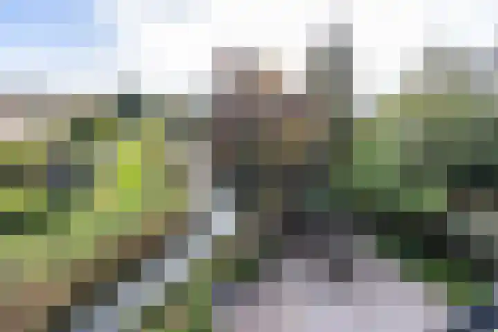 Veenhof 11 Groningen thumbnail 41