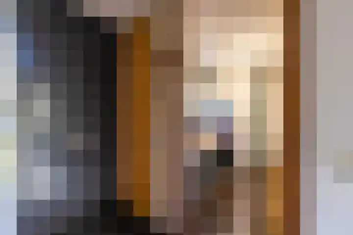 Veenhof 11 Groningen thumbnail 7