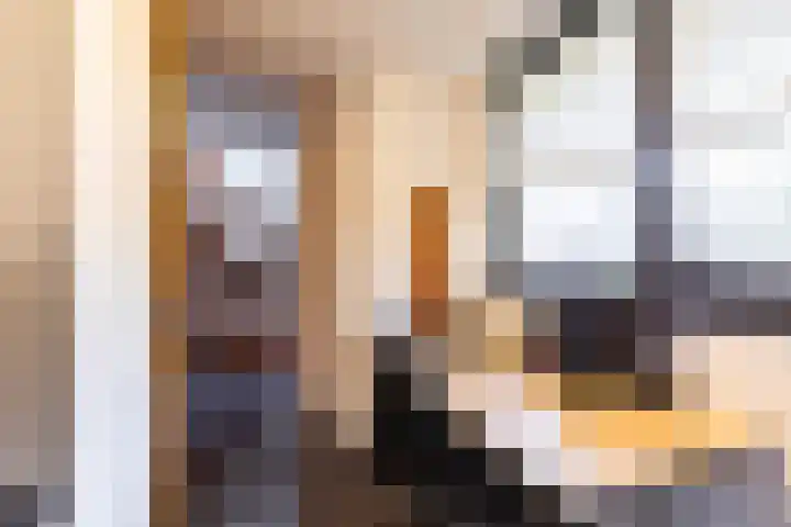 Veenhof 11 Groningen thumbnail 8