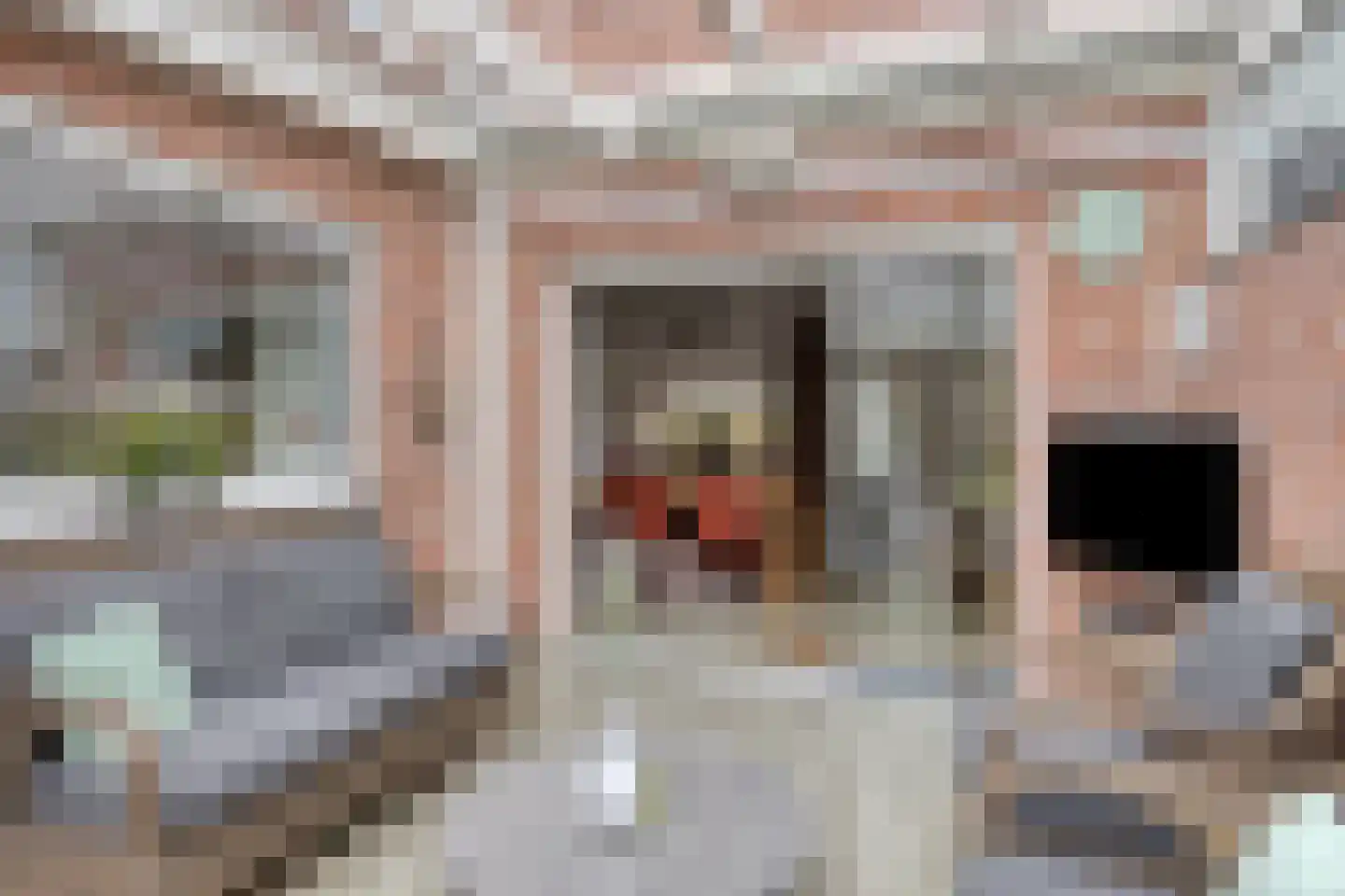 Veenhof 1606 Wijchen thumbnail 35