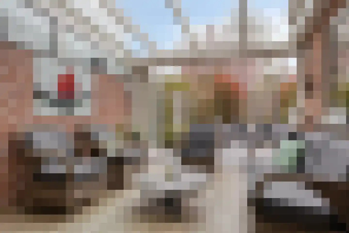 Veenhof 1606 Wijchen thumbnail 36