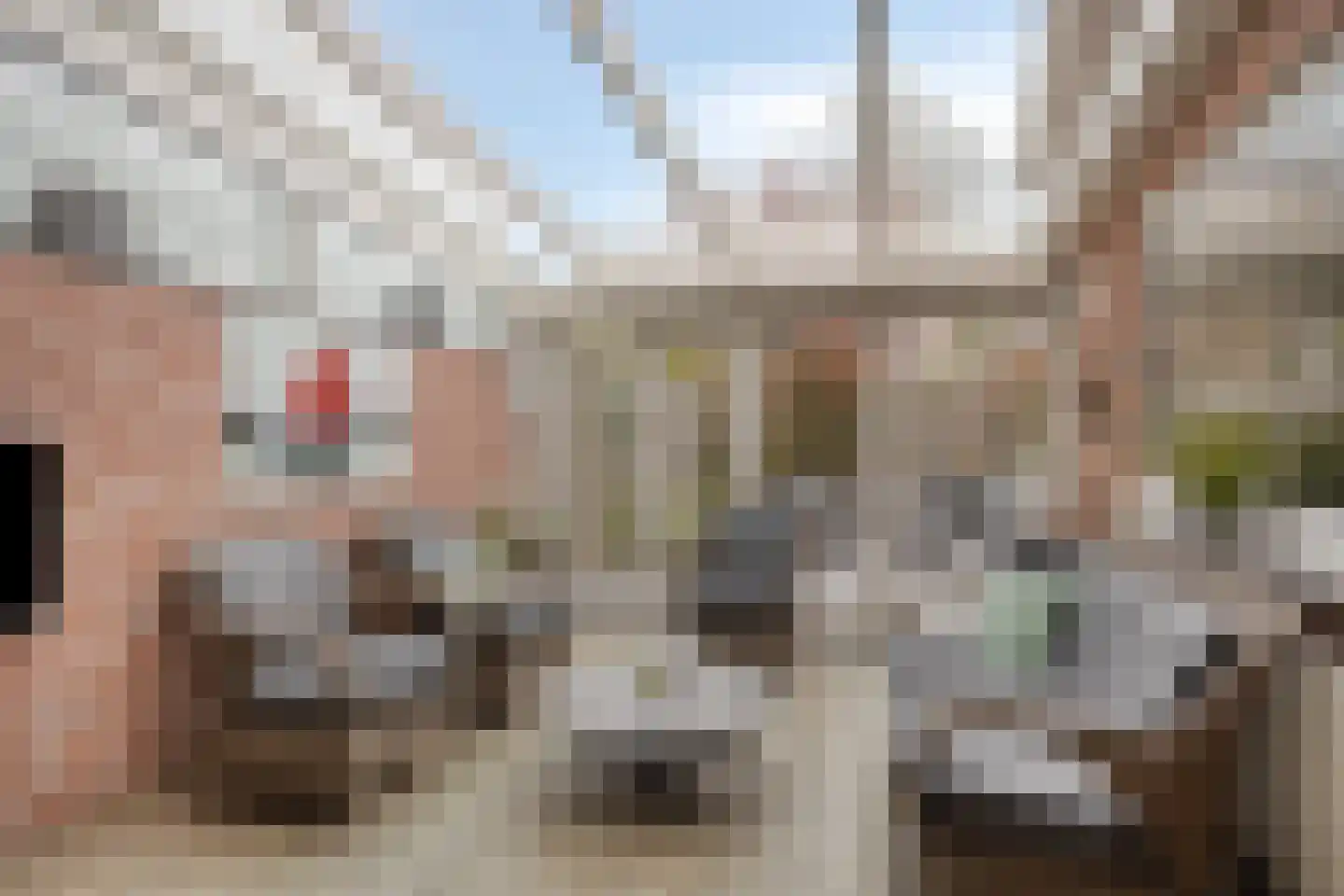Veenhof 1606 Wijchen thumbnail 37