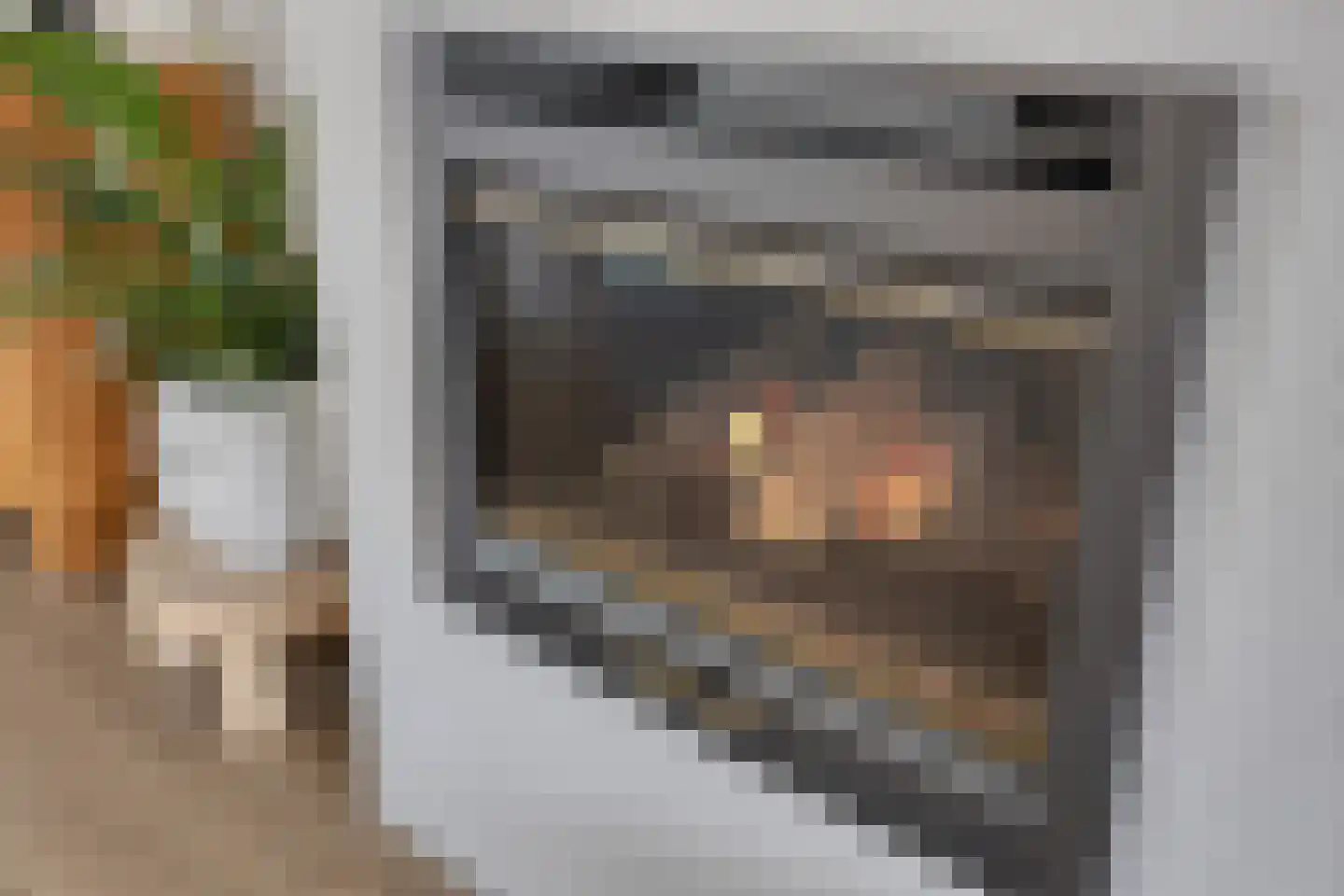 Veenhof 1606 Wijchen thumbnail 8