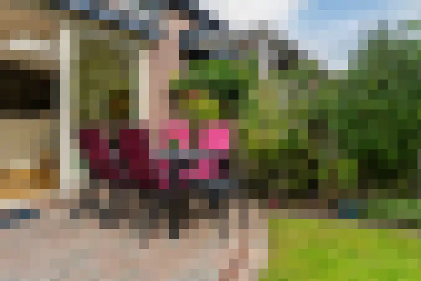 Veenhof 1927 Wijchen thumbnail 21