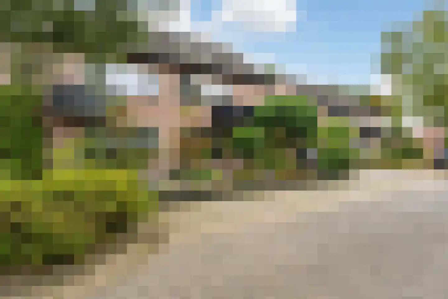 Veenhof 1927 Wijchen thumbnail 46