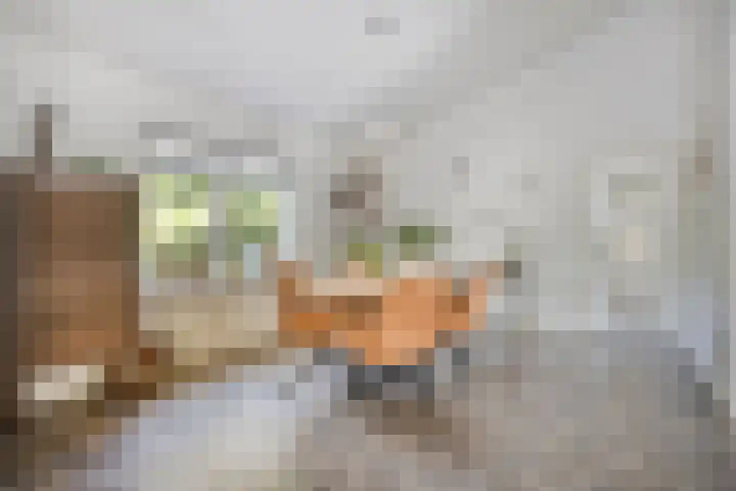 Veenhof 2233 Wijchen thumbnail 10